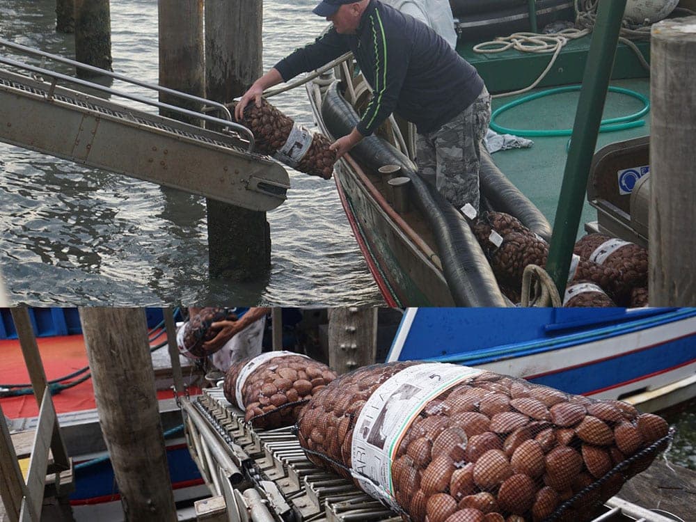Scarico in banchina con il nastro trasportatore