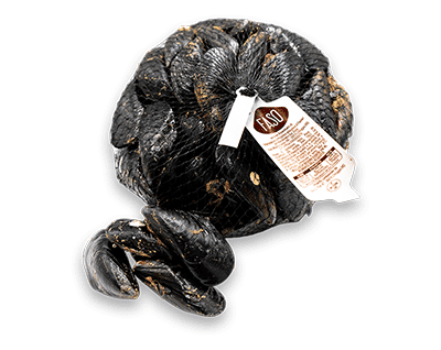 Cozze Mitilla