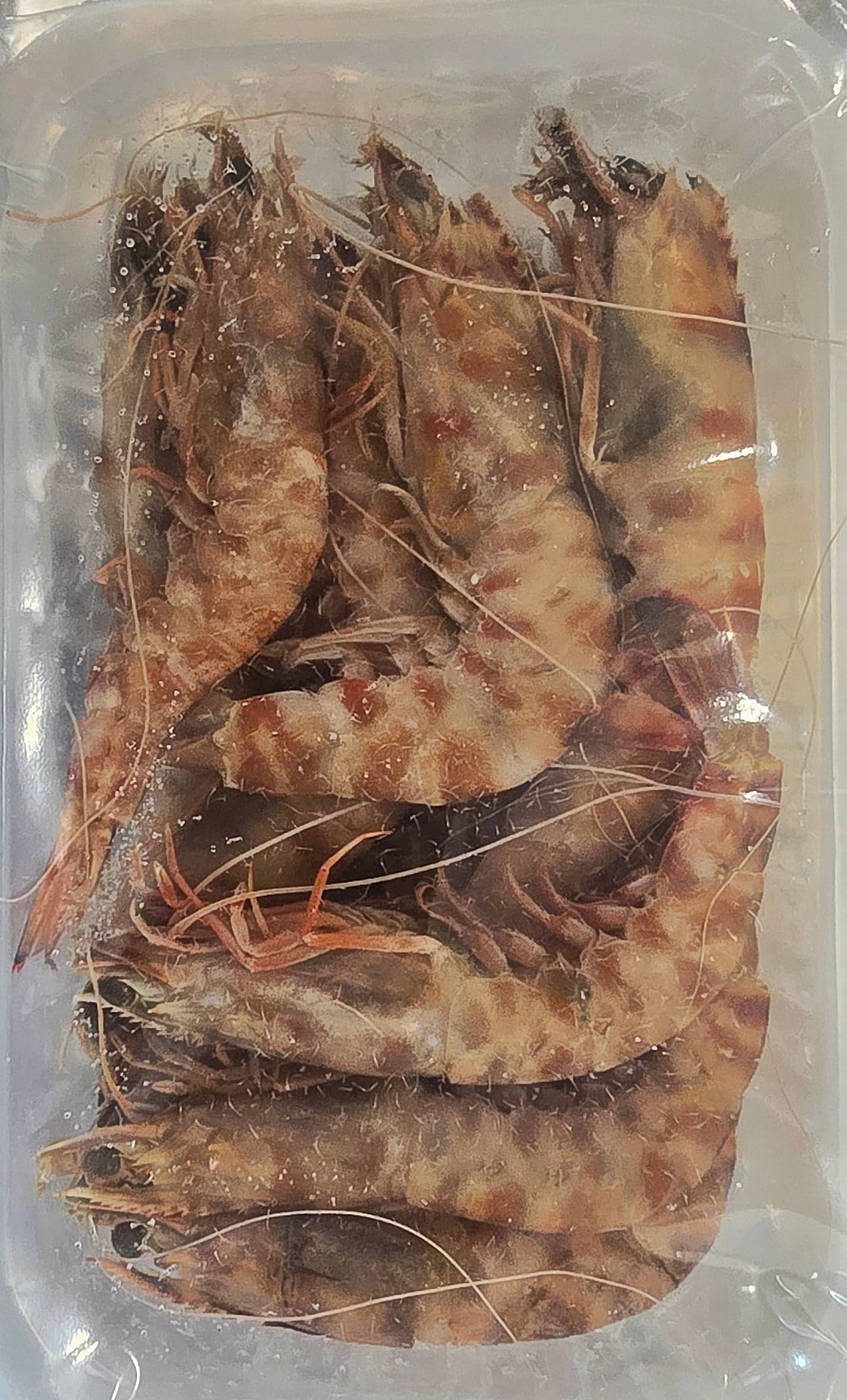 Mazzancolla surgelata