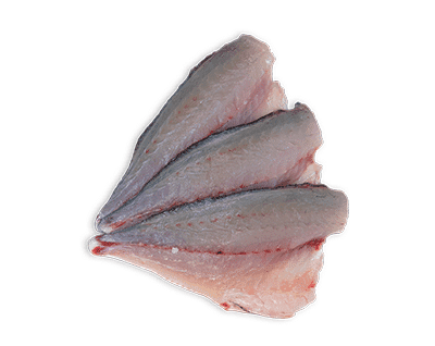 Orate Filetto Surgelate